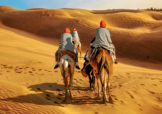 Camel Caravan Adventure